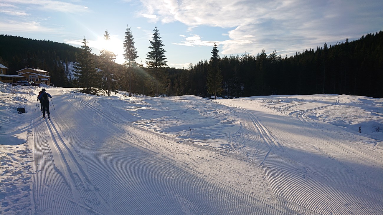 brovoll-skistue-6.2